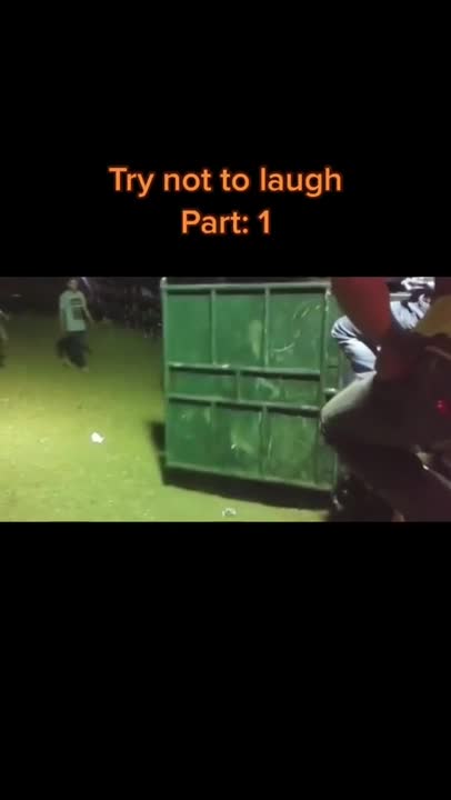 watch the door and the bull