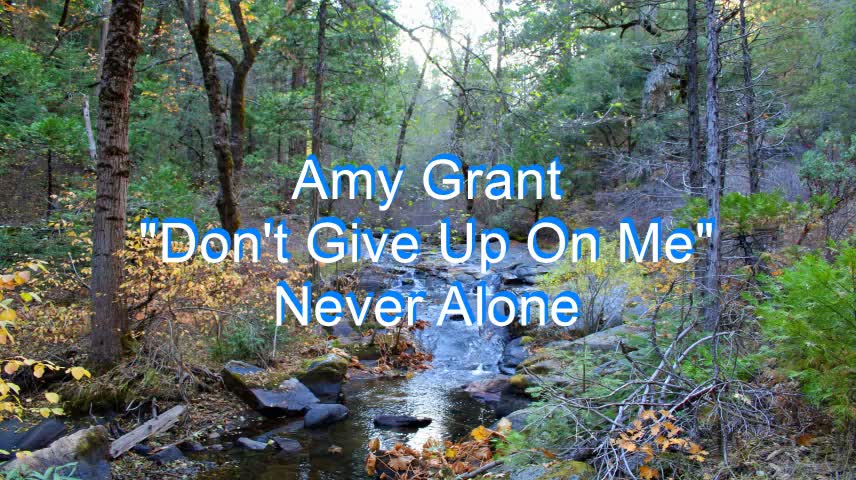 Amy Grant - Don't Give Up On Me #188