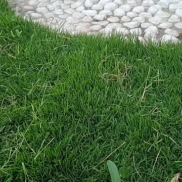 مناظر طبيعيه