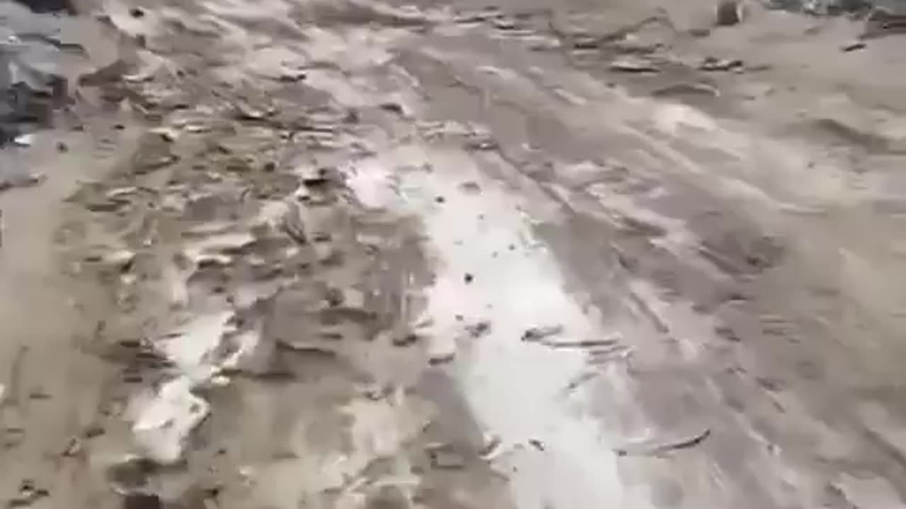 Footage captures extensive destruction caused by Israel's military