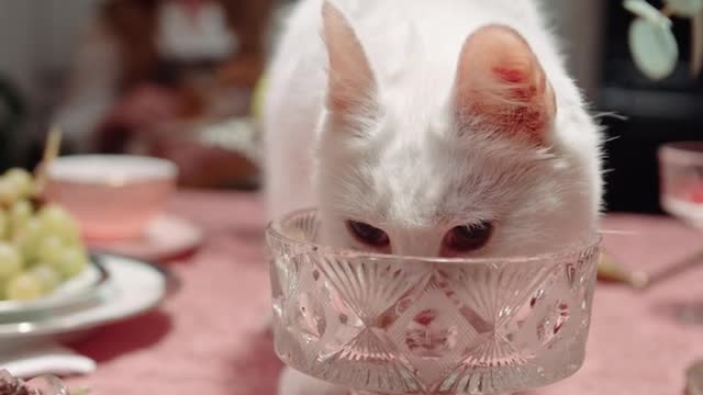 A glass for the broad-faced.