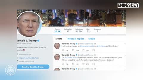 Donald Trump Officially Returns to Twitter, Elon Musk 'This is the Voice of the People'