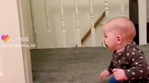 Baby Cats _ Cat 😾 and Funny Cat Video Compilation | Cat Funny Life🙄💙