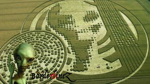 The Crop Circles (I Cerchi nel Grano)