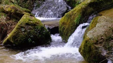 Relaxing River - Ultra HD Nature Video - Water Stream & Birdsong Sounds - Sleep/Study/Meditate