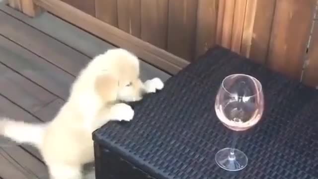 When You are Small sind you want something drink