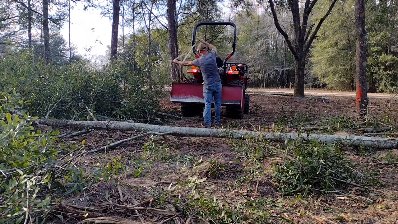 Land Clearing|Dropping Tree's and Skidding Logs