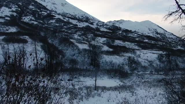 Hatchers Pass Moose Hunt