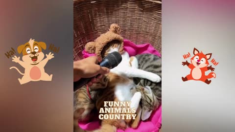 Funny animal 2023