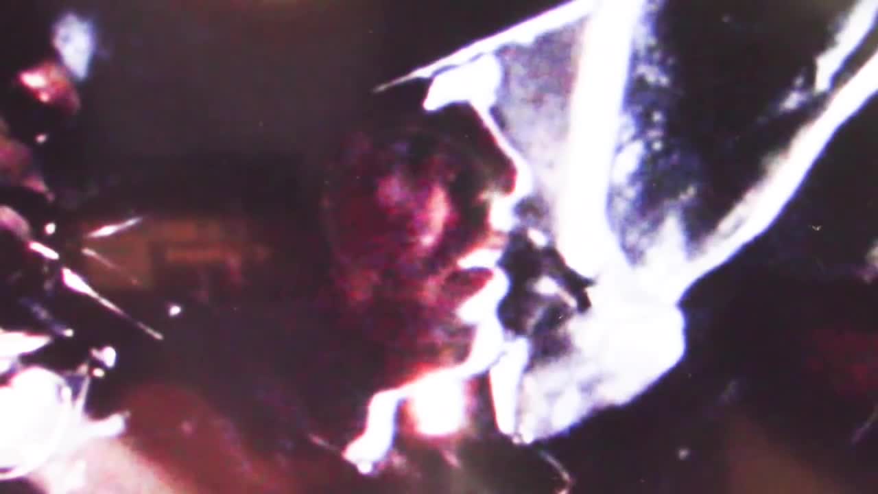 120. REPTILIAN ALIENS IN ALIENS VOL 3 (Holy sh...)