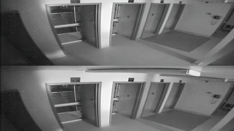 1704CRIB01CribAnalysisArea_2021-01-06_10h00min03s107ms.mp4