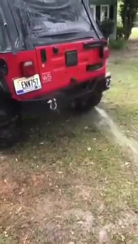 This dog is the definition of Speed