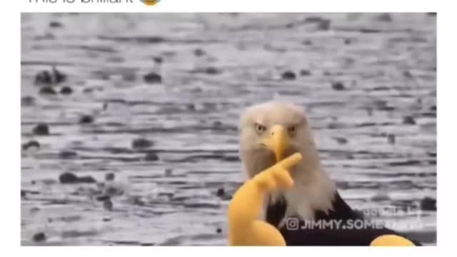 Cuando estás en público con tu novia y ve a alguien mirándote durante demasiado tiempo