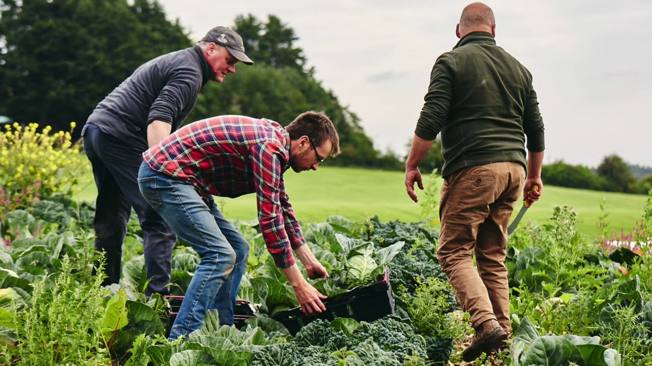 Democracy Great Britain. - Farmers