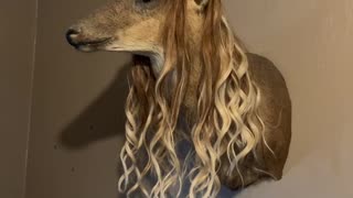 Deer With Extensions