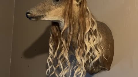 Deer With Extensions