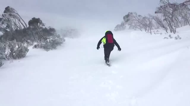 'Lucky to be alive': Hikers rescued in Tasmania blizzard