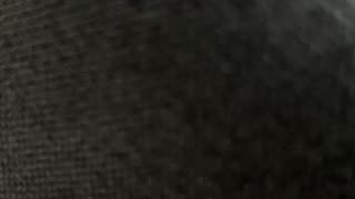 Alexa AI RAP!