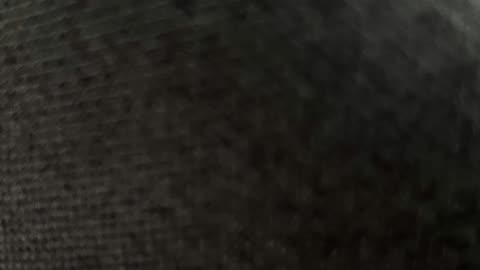 Alexa AI RAP!