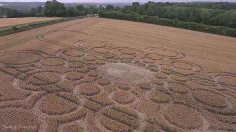 Crop Circle - Lane End Down, Near Beauworth, Hampshire, England - 9 July 2023