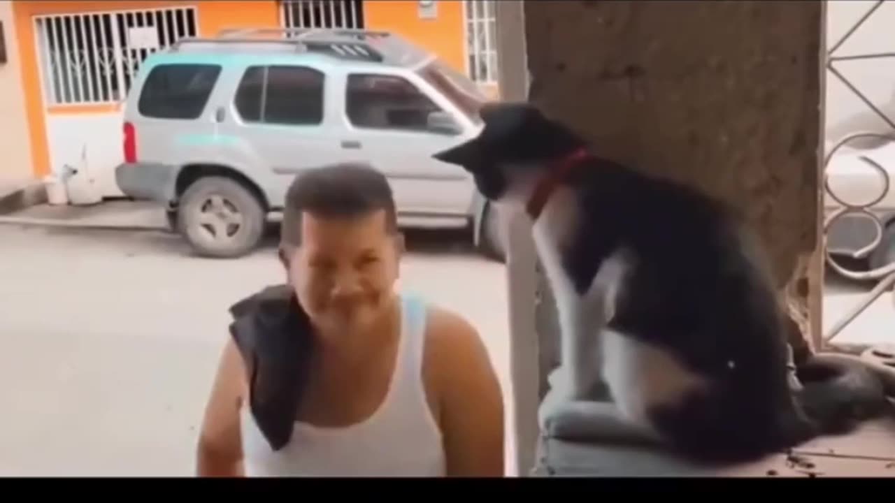 catdone