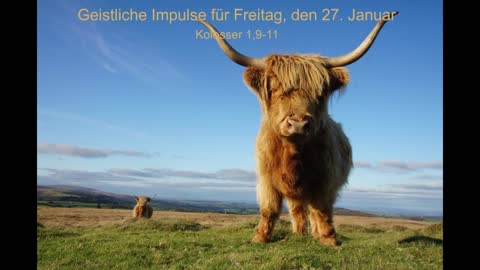 Geistliche Impulse für Freitag, den 27. Januar