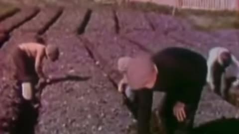 They do not want you independent.