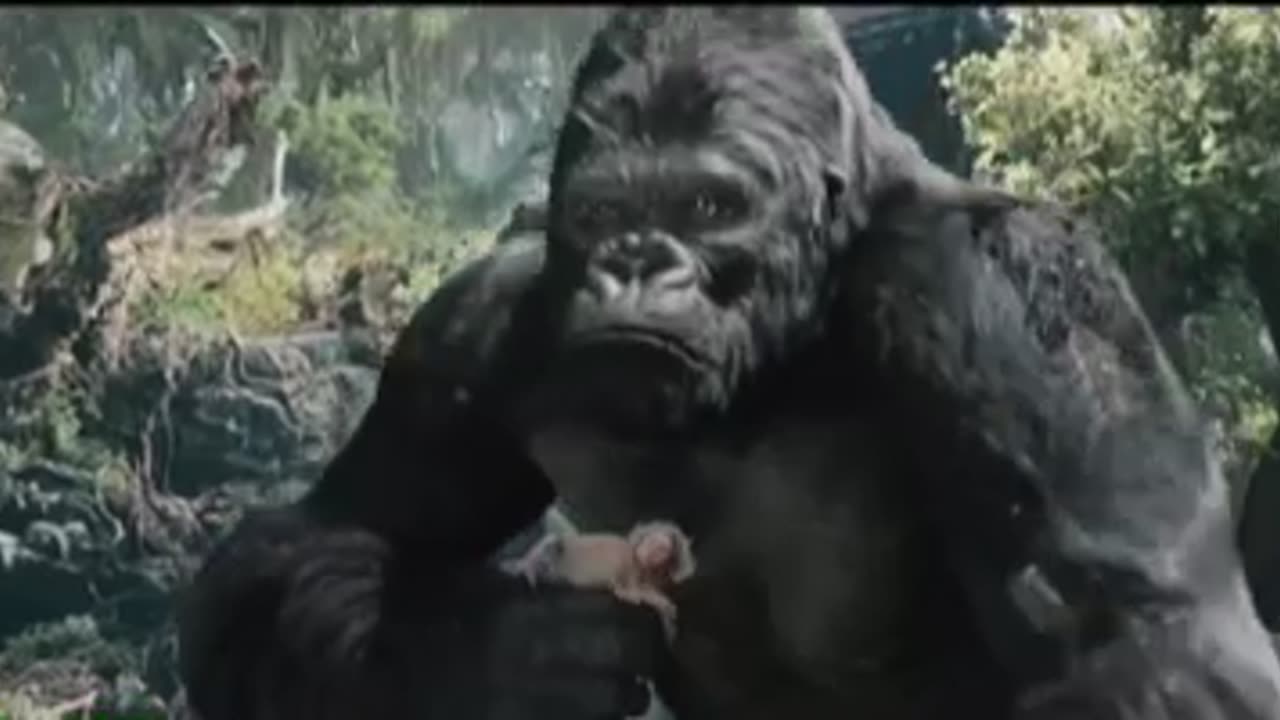 King Kong Movie clip - action movies - movie