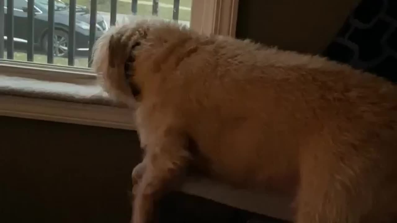 BERKELEY ON STALKER PATROL 01/30/24