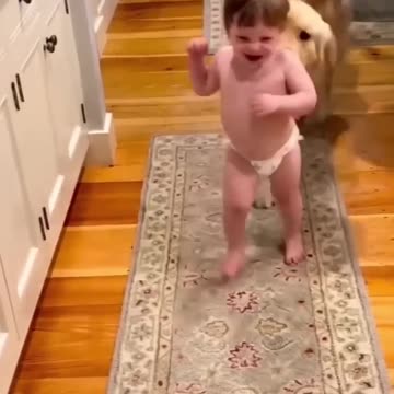 Funny animal videos|Cute animal videos |Funny dog&cat videos|Hilarious pet videos|funny video