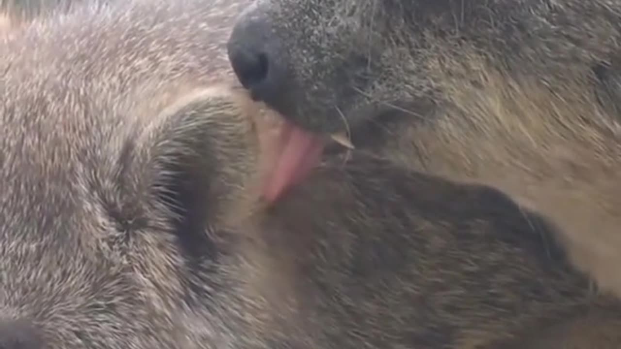 That’s disgusting bruh 😂