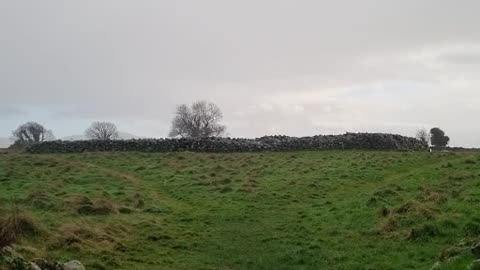 Rathgall Hillfort, Ireland