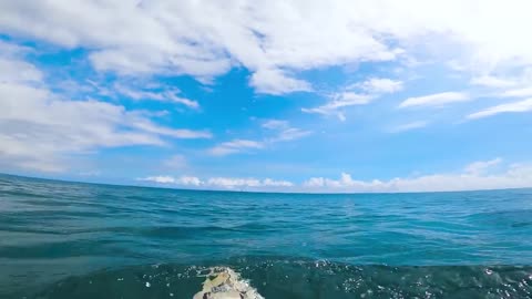 POV SURF - LIQUID PERFECTION-5