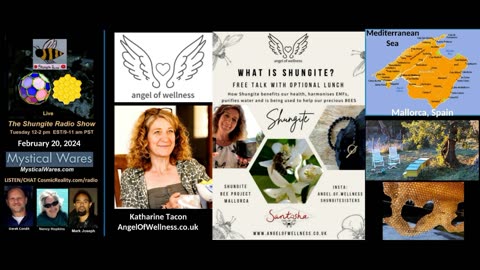 SHUNGITE REALITY 2-20-24 - Katharine Tacon on Shungite Experience