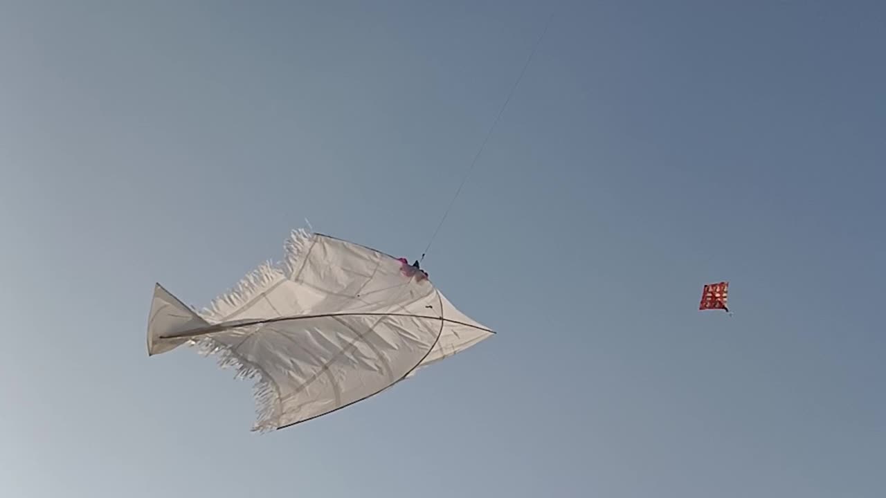 Best kite flying