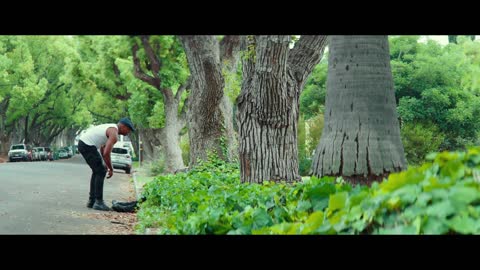 A STAR IS BORN - A Way Out