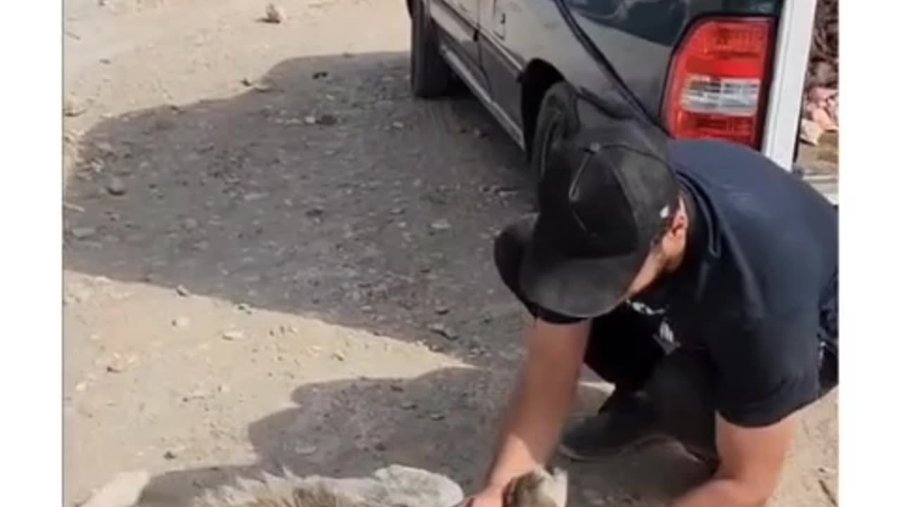 A stray dog thanking 🥹a man for giving him food
