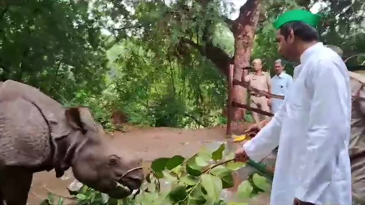 Tej Pratap Yadav feeding Rhinos in Patna Zoo India #Rhinos