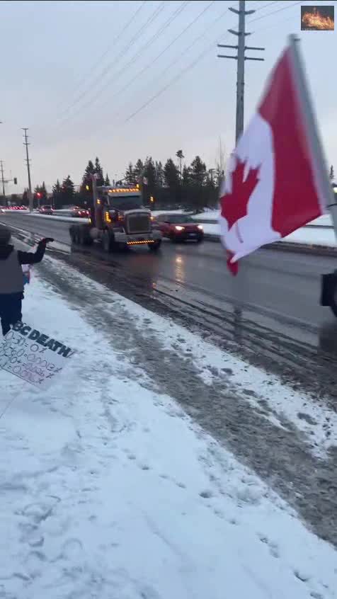 Mandate Free, Prince George