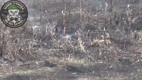 Ukrainian Drones Direct Artillery