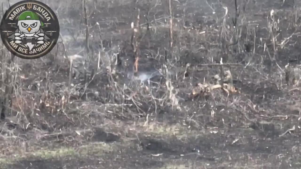 Ukrainian Drones Direct Artillery