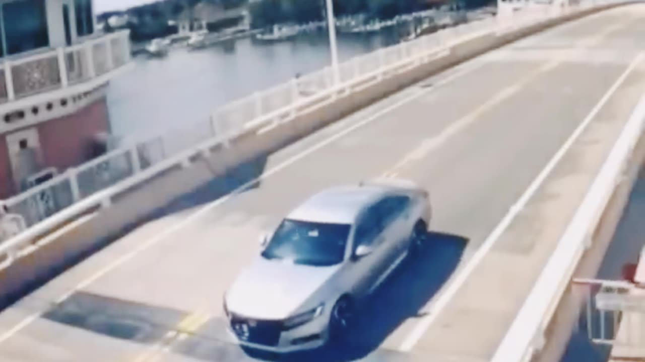 Unexpected Bridge Encounters: Bizarre Moments Captured on Camera