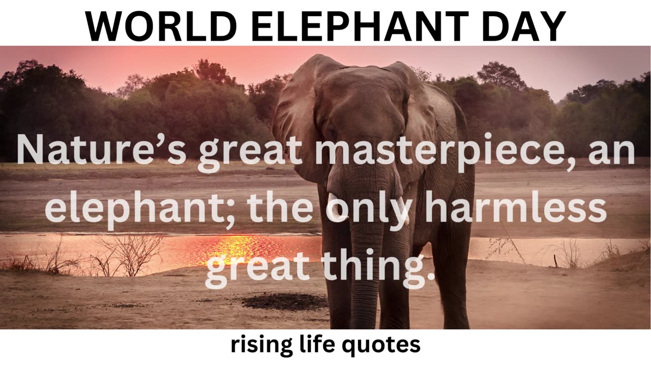 WORLD ELEPHANT DAY