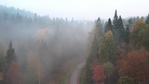 Cloudy forests are good for camping