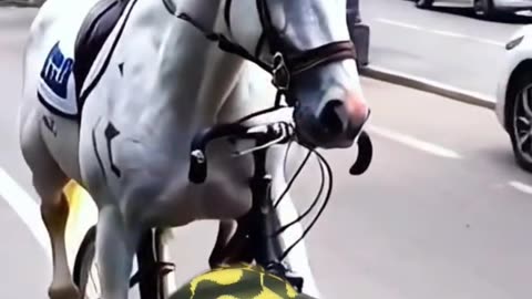 Horse riding bike