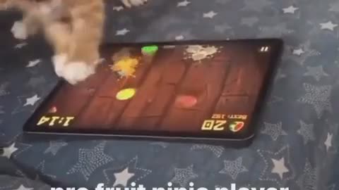 Ninja player