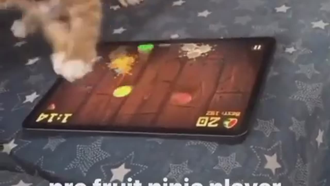 Ninja player