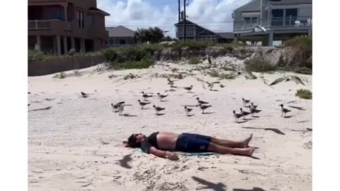 How are these birds so easily summoned 😂