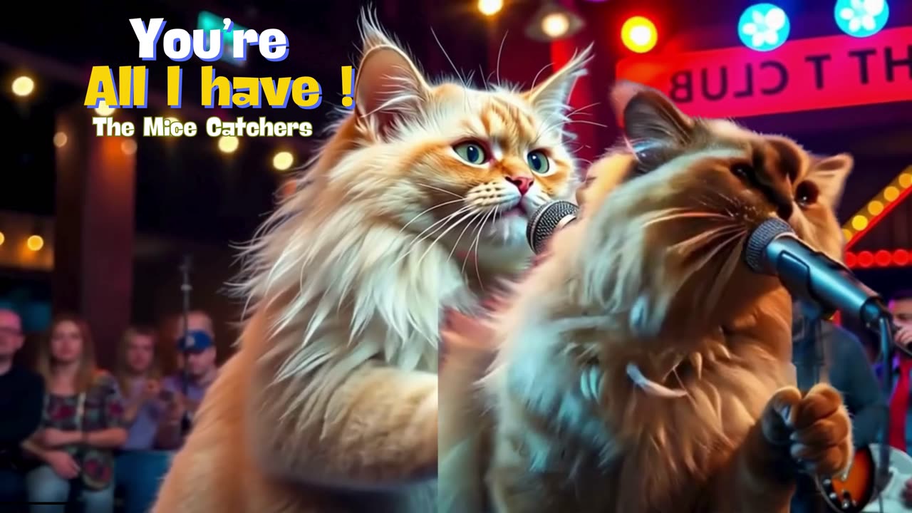 You’re All I Have ❤️ A Sweet Animated Cat Song 🎶