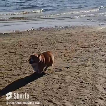 See those faces coming for you and tremble in terror